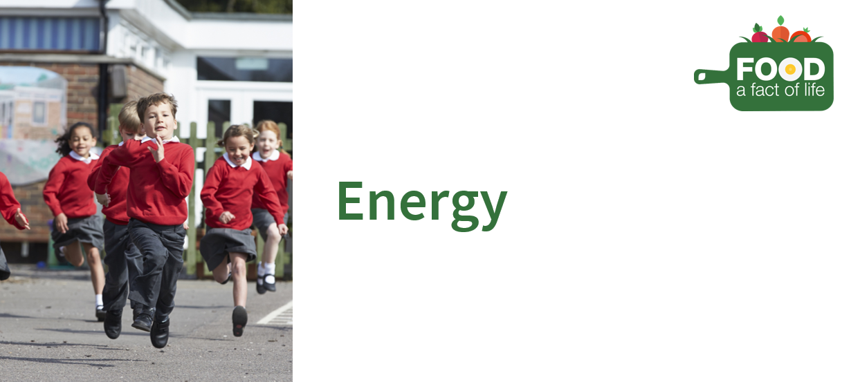 Energy presentation (11-14)