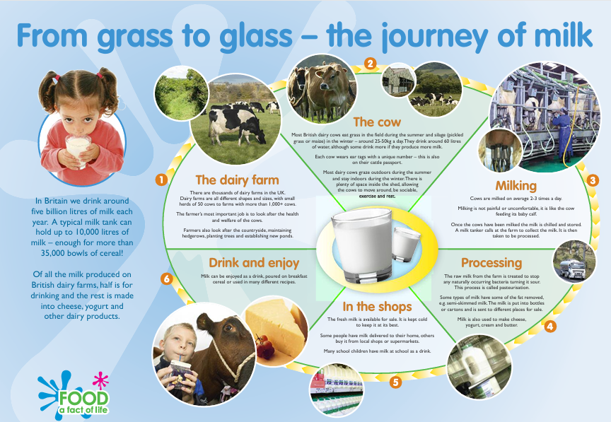 From grass to glass poster