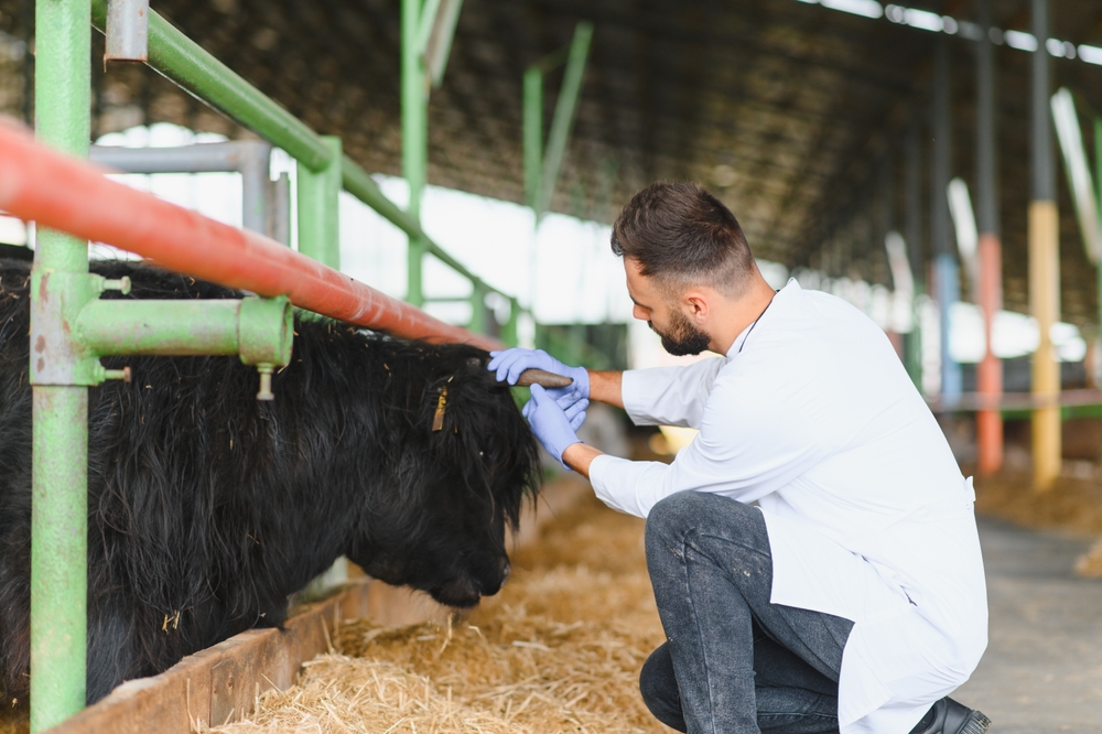 Meat traceability presentation