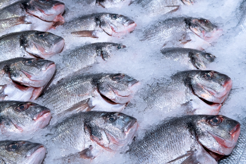 A fishy tale