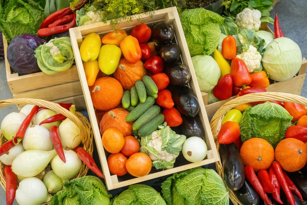 Vegetables presentation 11-14