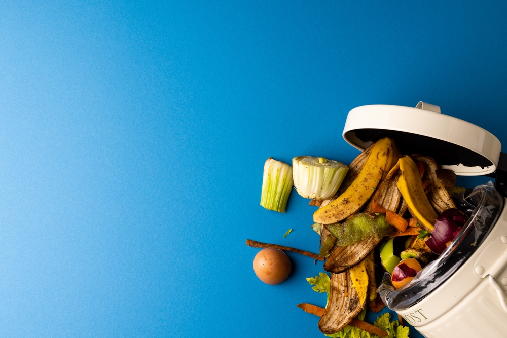 Food waste pick and mix 11-14 years