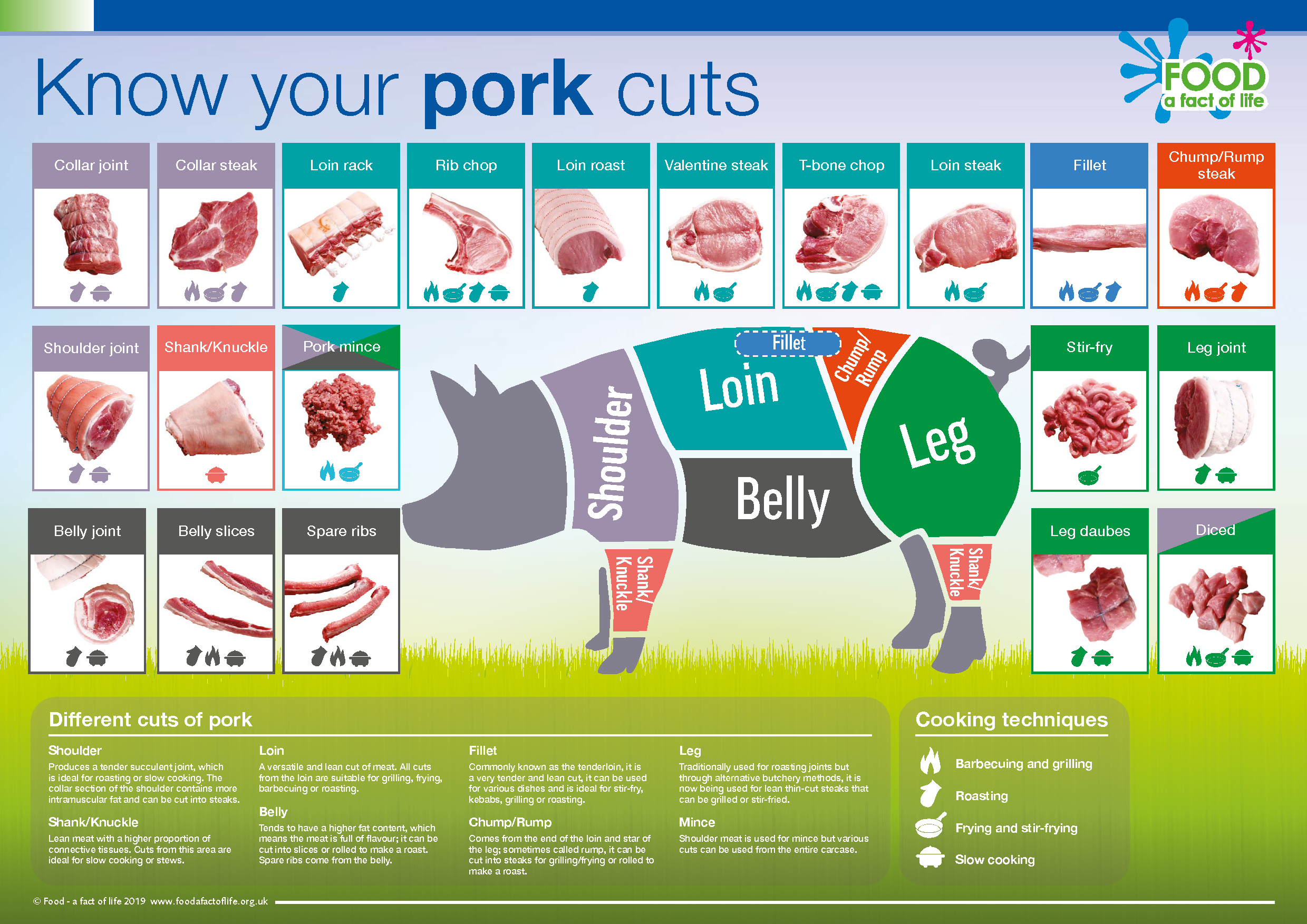 Know your pork cuts poster