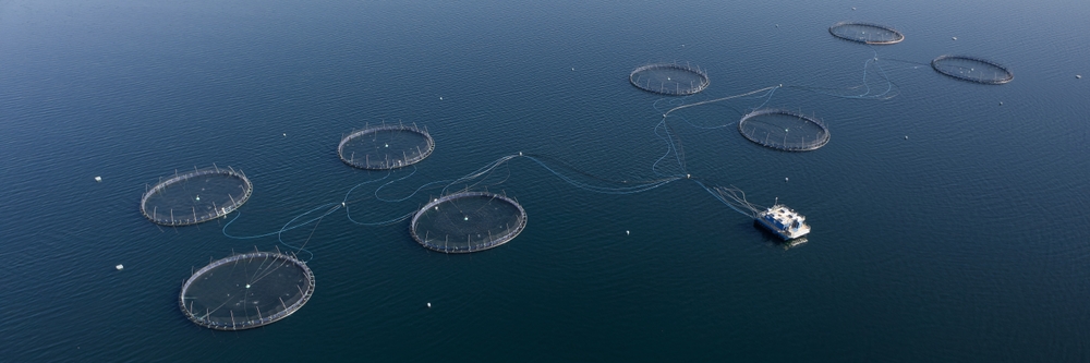 Processing food from land and sea