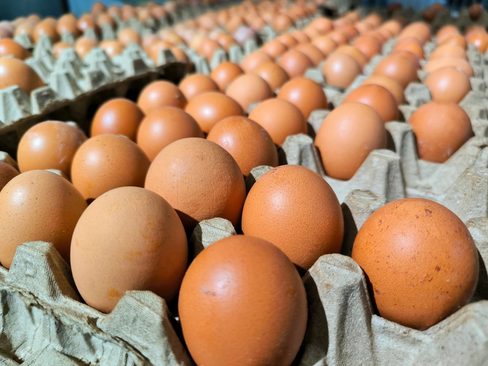 Does it use eggs?