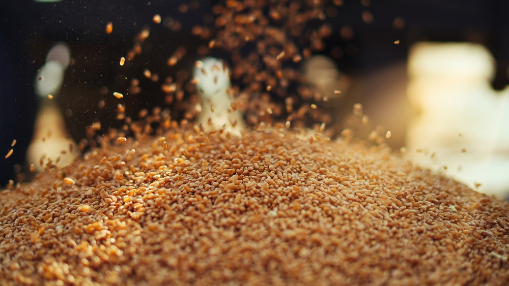 Wheat and grains presentation