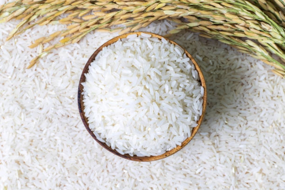 Rice presentation 7-11