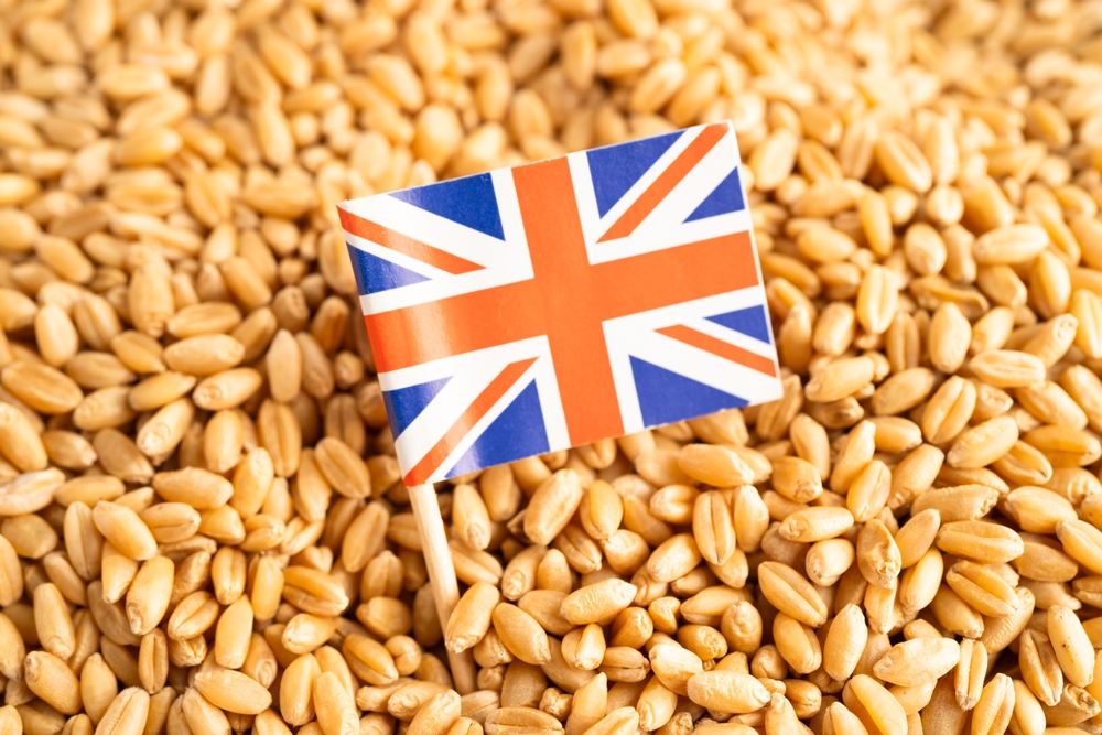 UK wheat production