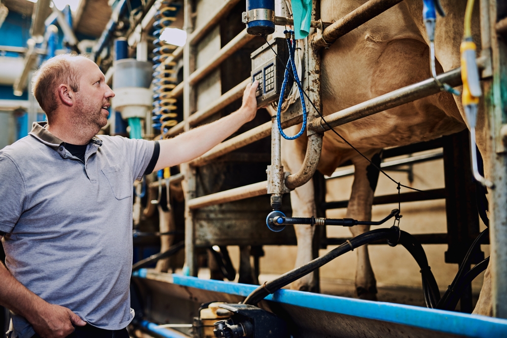 Milk production