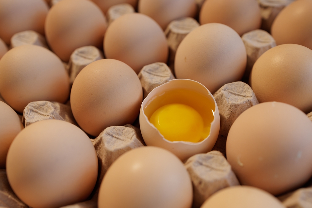 Eggs presentation 5-7