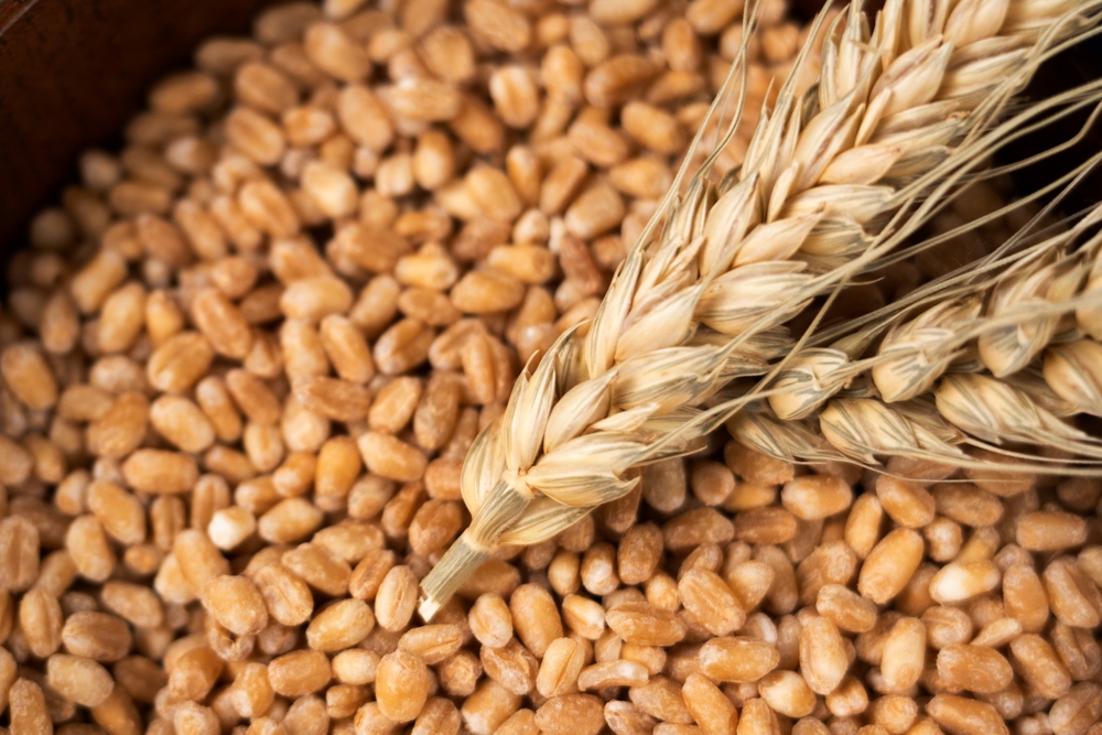 Grains