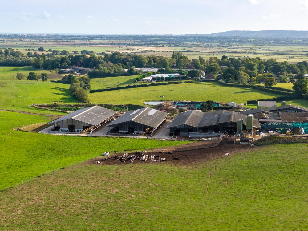 An introduction to dairy farming