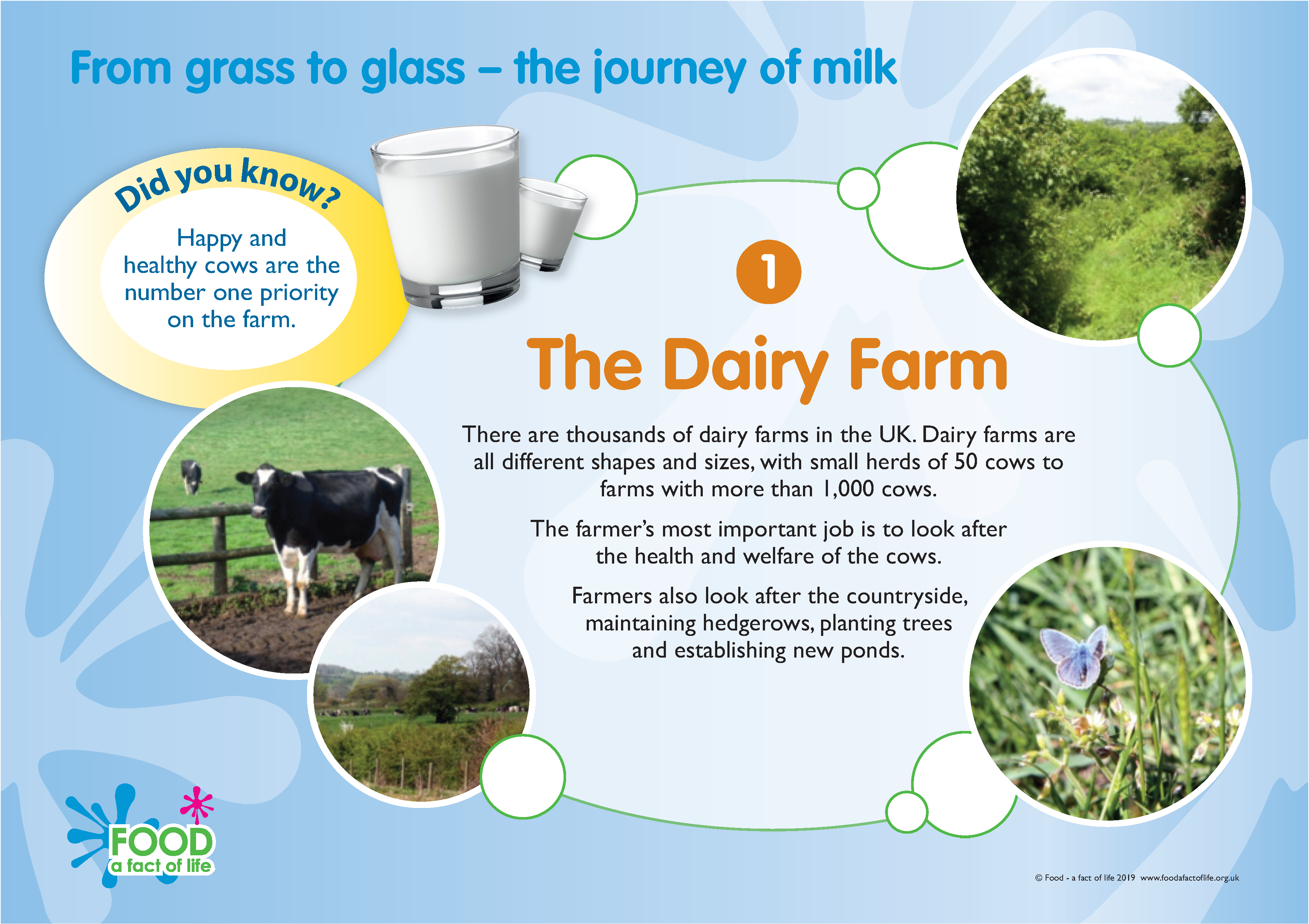 The journey of milk frieze