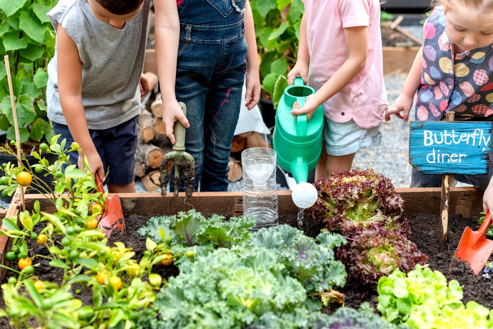 Plant watering sheet (3-5)