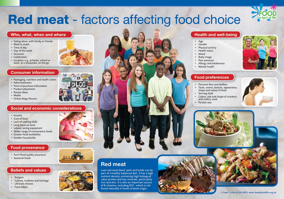 Red meat - factors affecting food choice poster