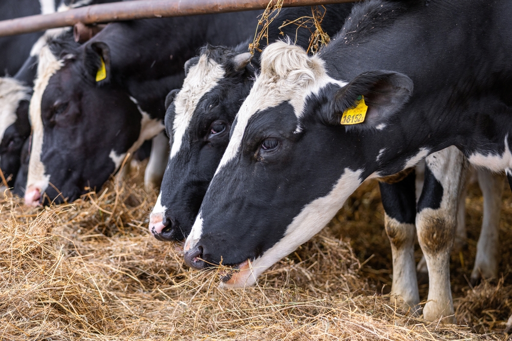 How food is grown, reared or caught presentation