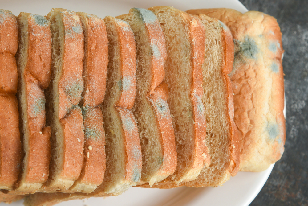 Food contamination and spoilage