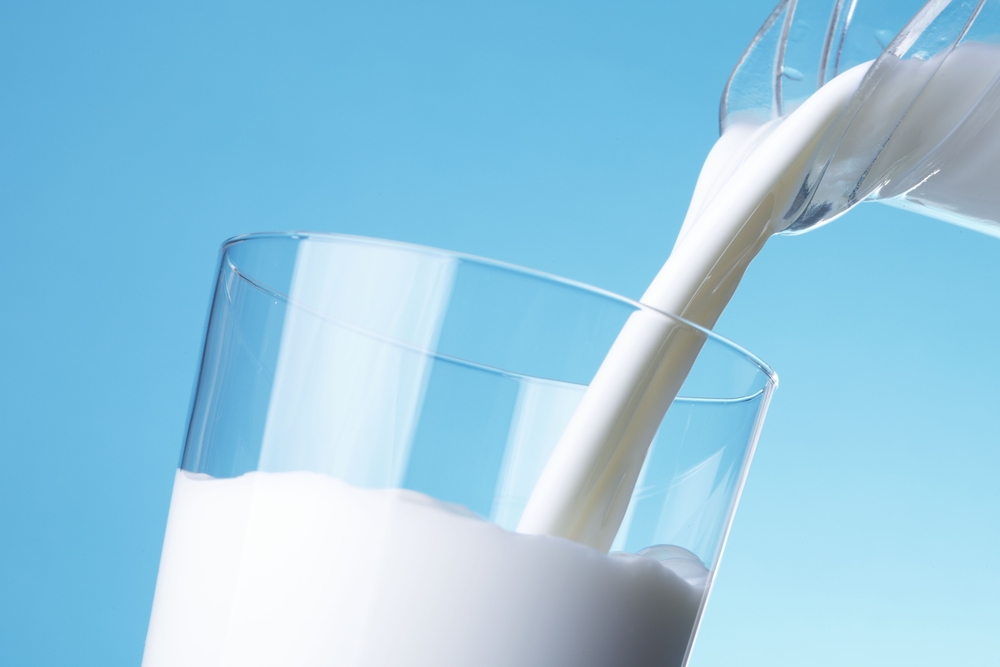 Milk - the journey