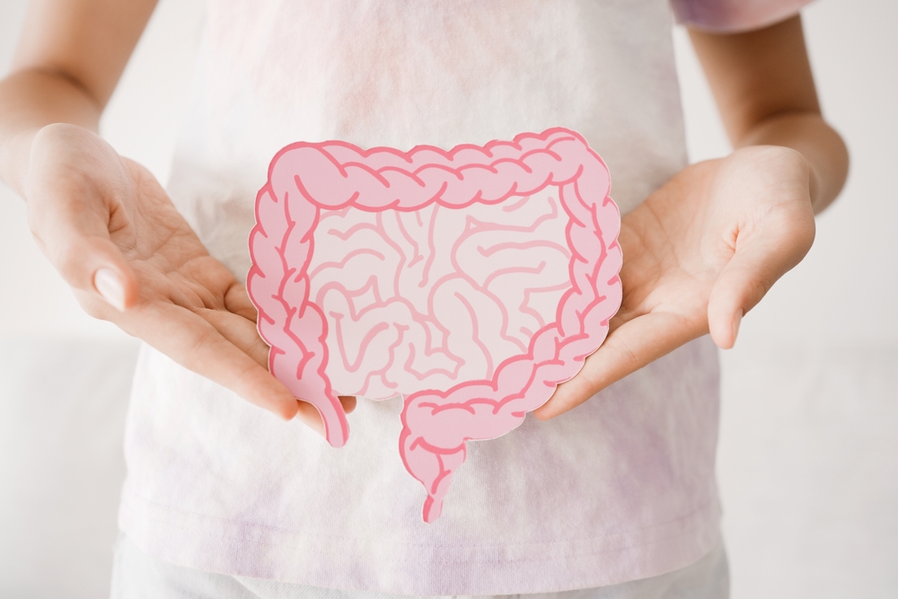 Digestive stages worksheet