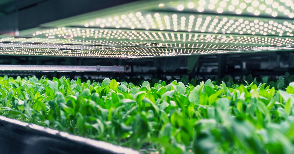 Development of food technology