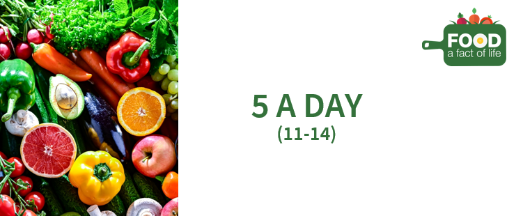 5 A DAY presentation (11-14)