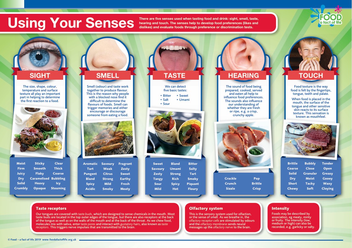 Using your senses poster