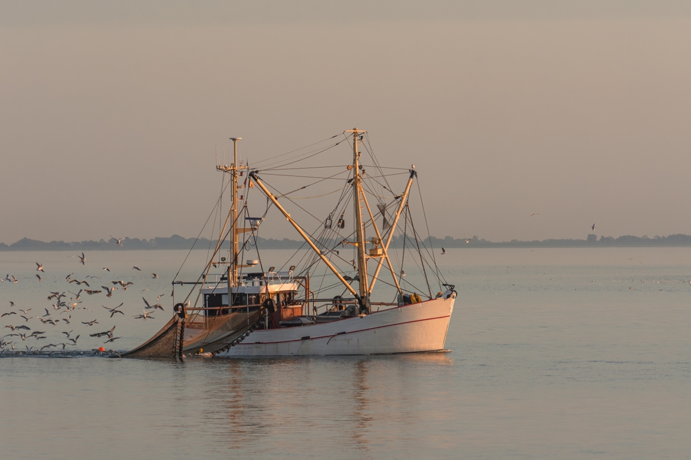 Catching fish