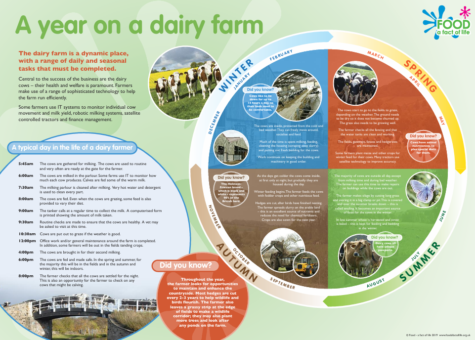 A year on a dairy farm advanced poster
