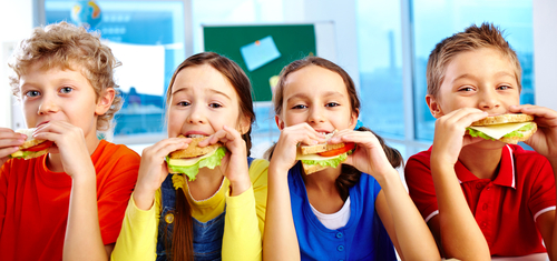 Food - a fact of life presentation