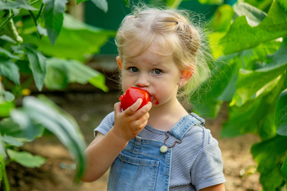 Eating plants worksheet