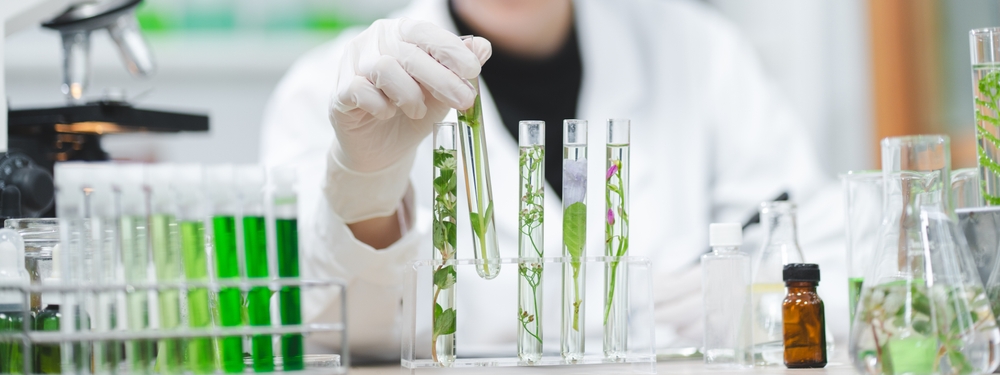 Biotechnology and nanotechnology
