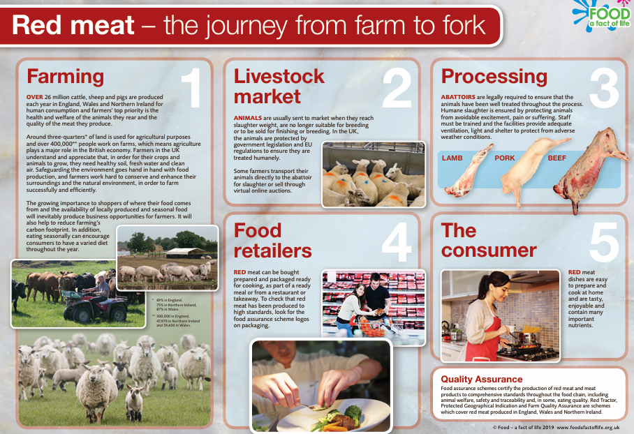 Red meat - the journey from farm to fork poster
