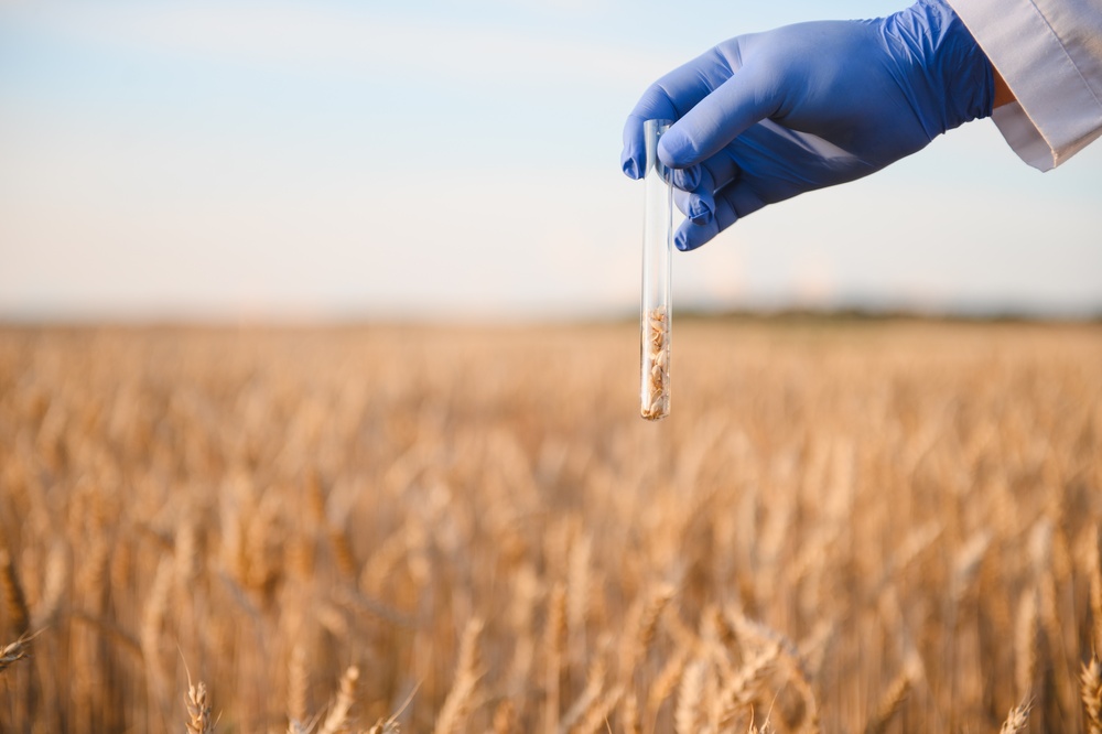 Grain science lesson plan