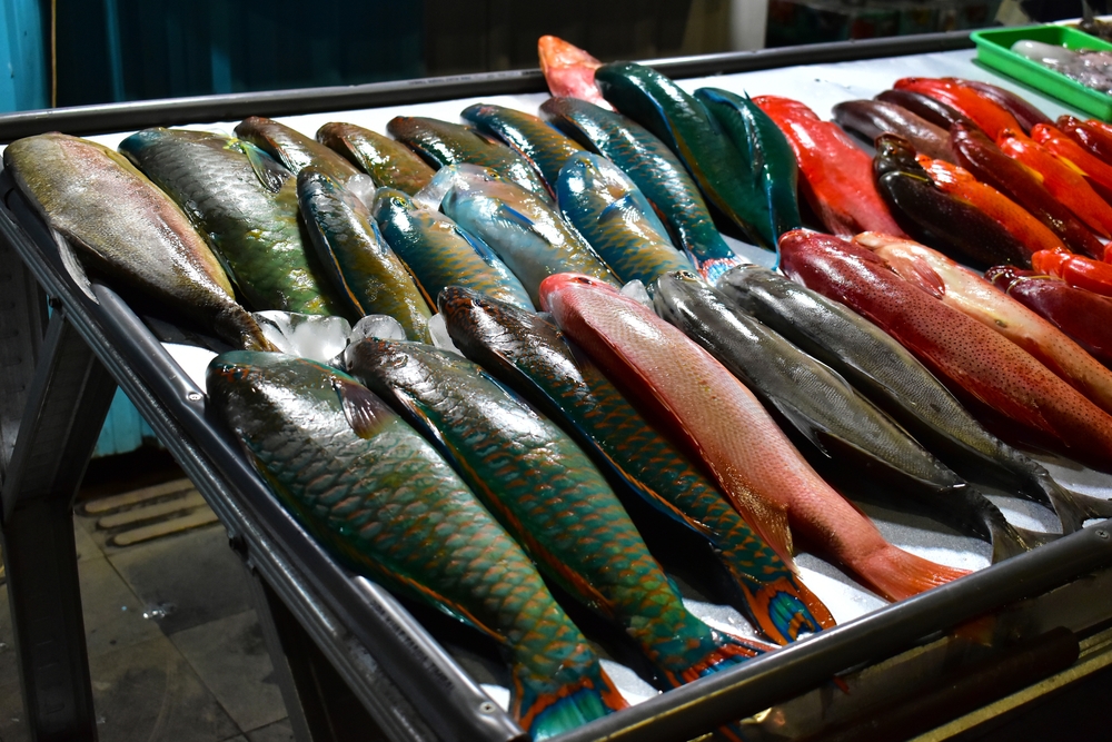 Types of fish