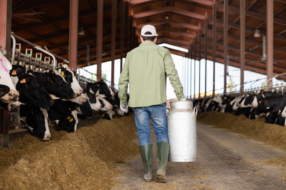 Dairy farming