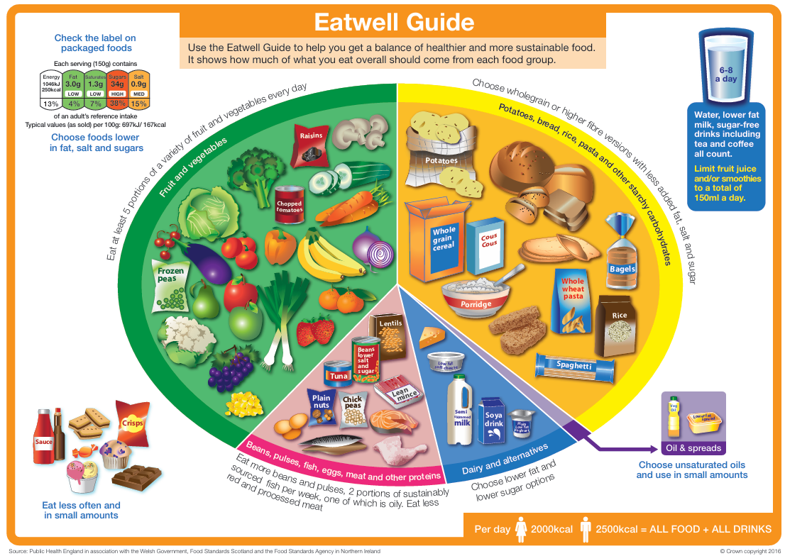 Eatwell Guide - plant or animal? worksheet