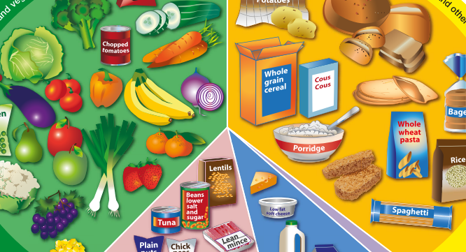 The Eatwell Guide presentation (11-14)