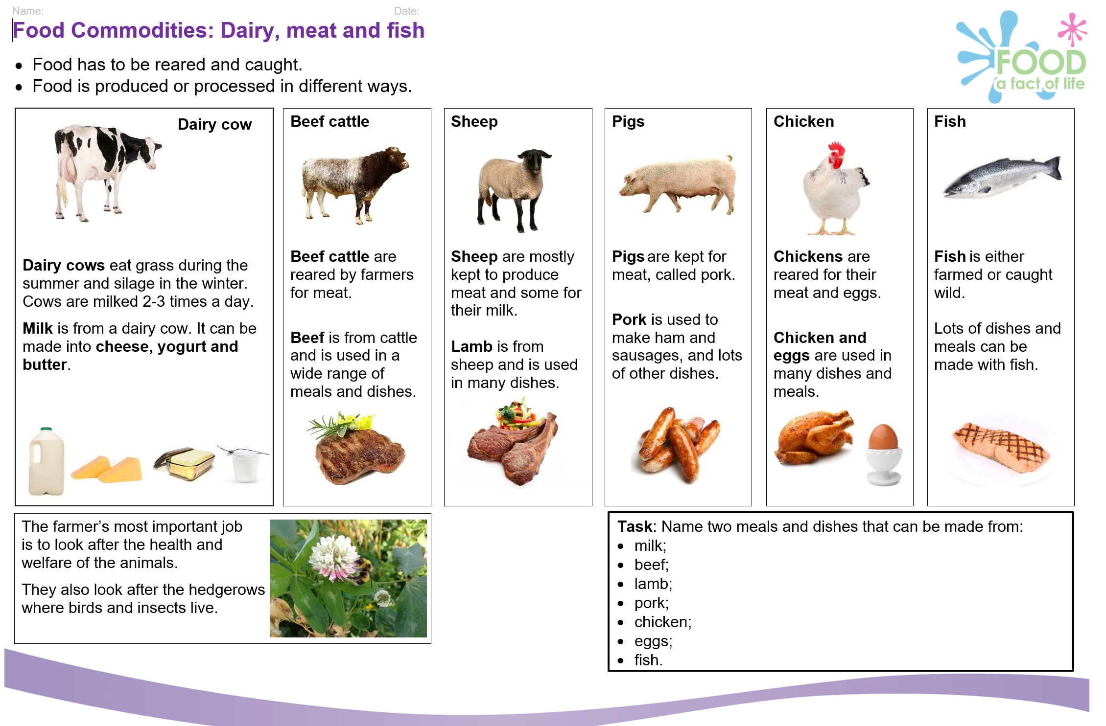 Dairy, meat and fish KO 5-7