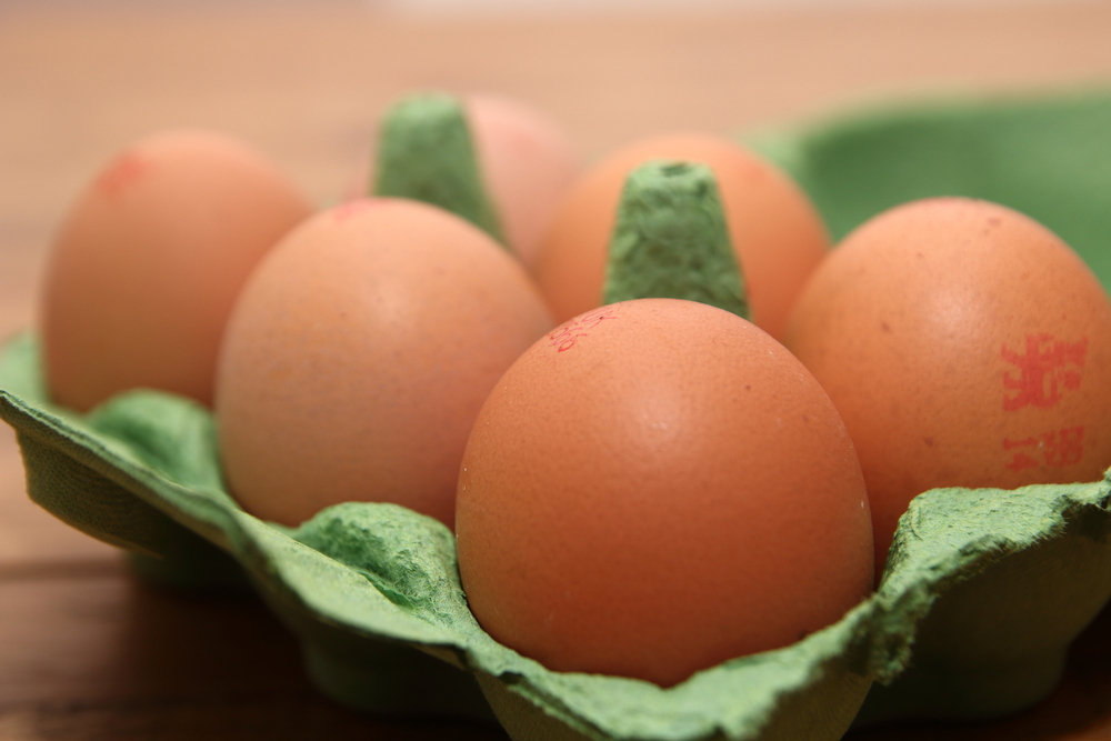 Food assurance worksheet