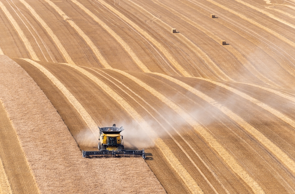 Farming food worksheet