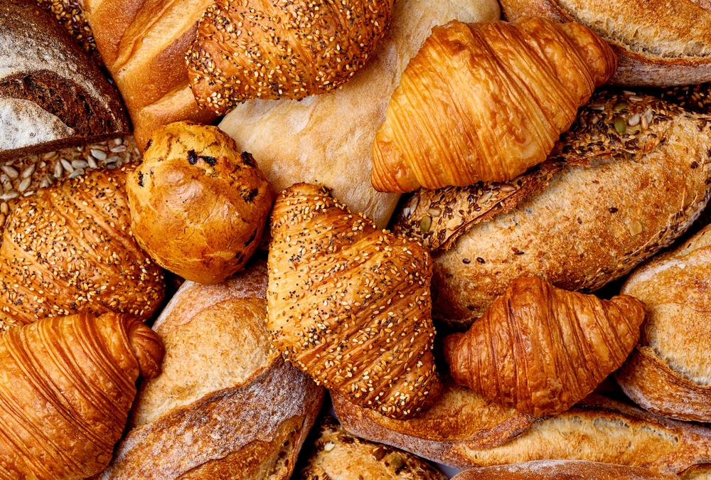 ES2 Bakers Haven teacher's guide
