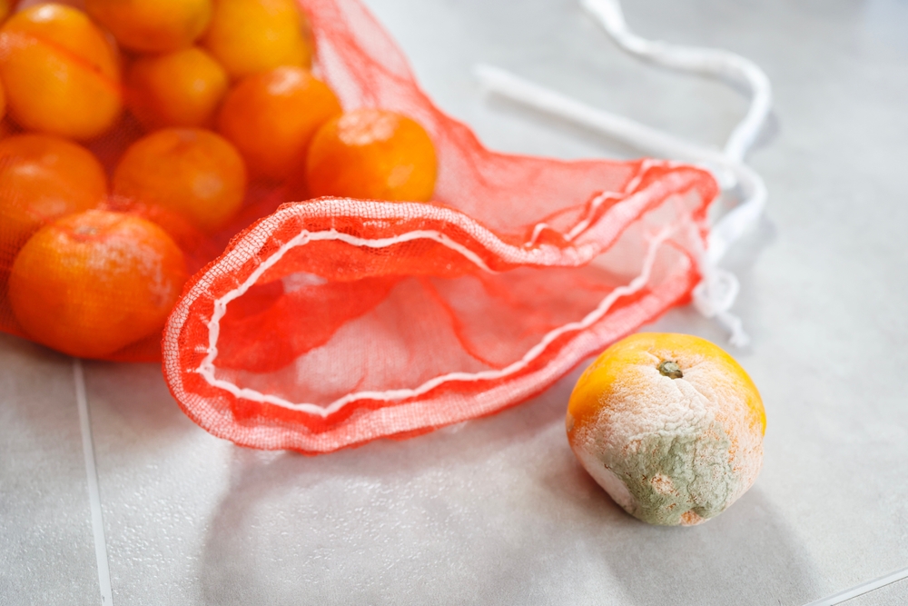 Food spoilage