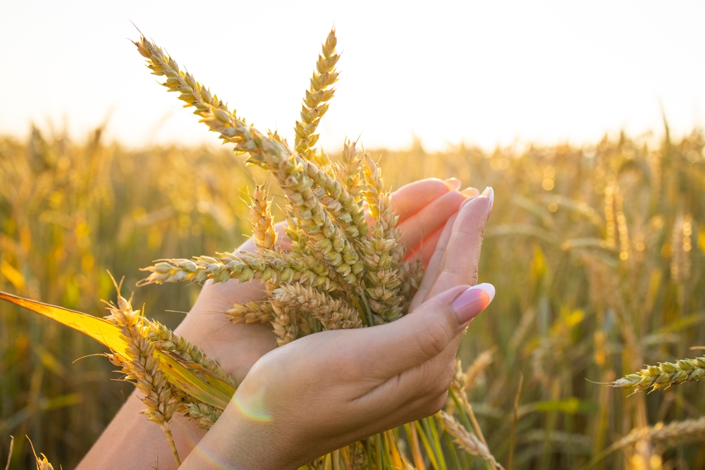Food security