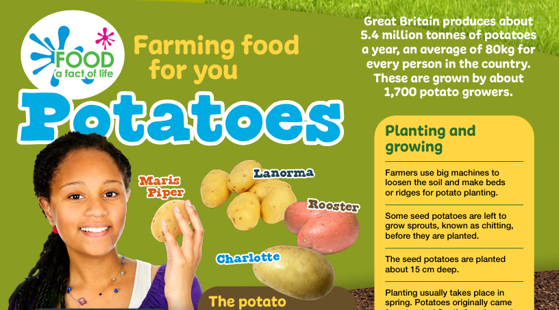Farming food for you - potatoes