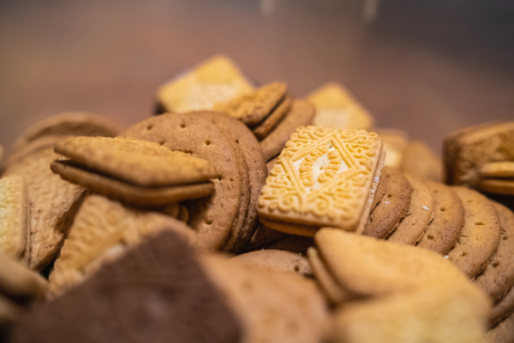 ES1 Biscuit bonanza teacher's guide
