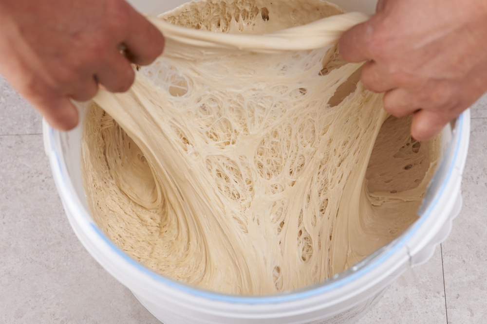 Gluten experiment
