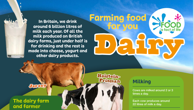 Farming food for you - dairy